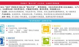 2025一月高招s最新爆料,揭秘热门专业与录取趋势