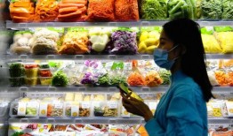 预制菜爆料视频播放,爆款视频背后的真实播放数据与市场趋势